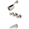 Polished Nickel