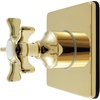 Polished Brass