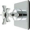Polished Chrome