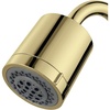 Polished Brass