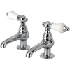 Polished Chrome