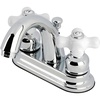 Polished Chrome
