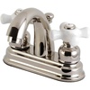 Polished Nickel