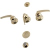 Polished Brass