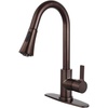 Oil Rubbed Bronze