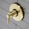 image:imageKingston KB3008NDL NuvoFusion TwoWay Volume Control Brushed NickelPolished Nickel